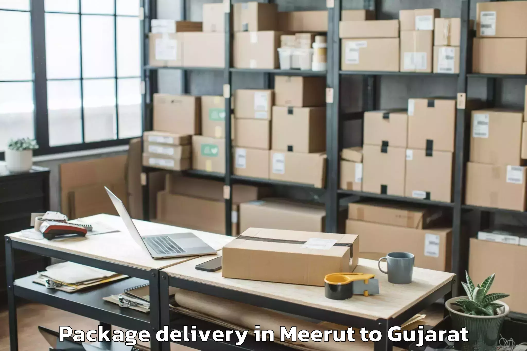 Meerut to Bhayavadar Package Delivery